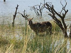 090517_Pilanesberg 141
